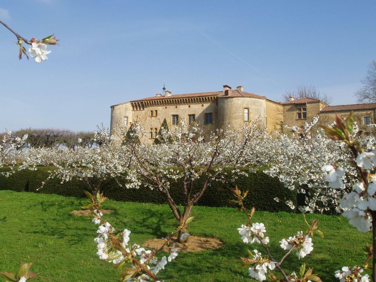 Chateau De Bagnols المظهر الخارجي الصورة